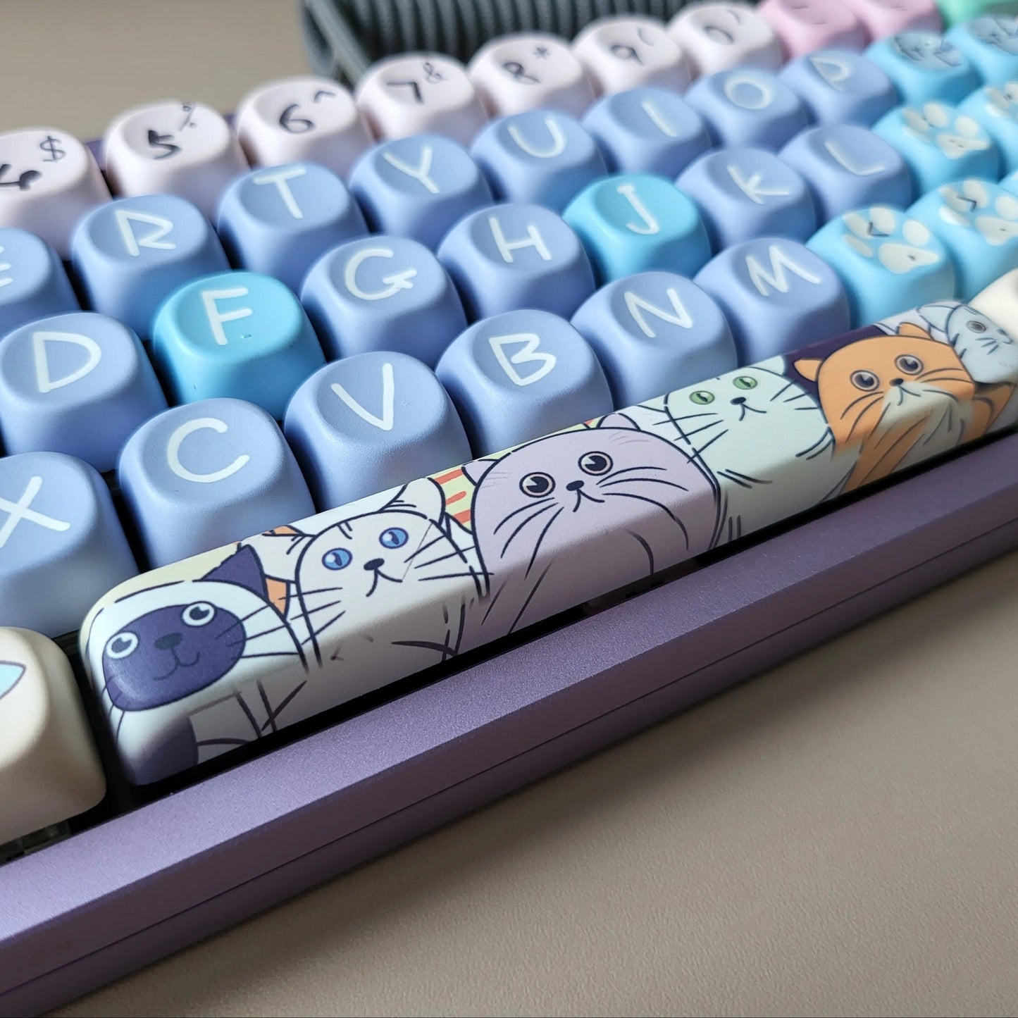 Keyboard with cat-themed keycaps on a neutral background