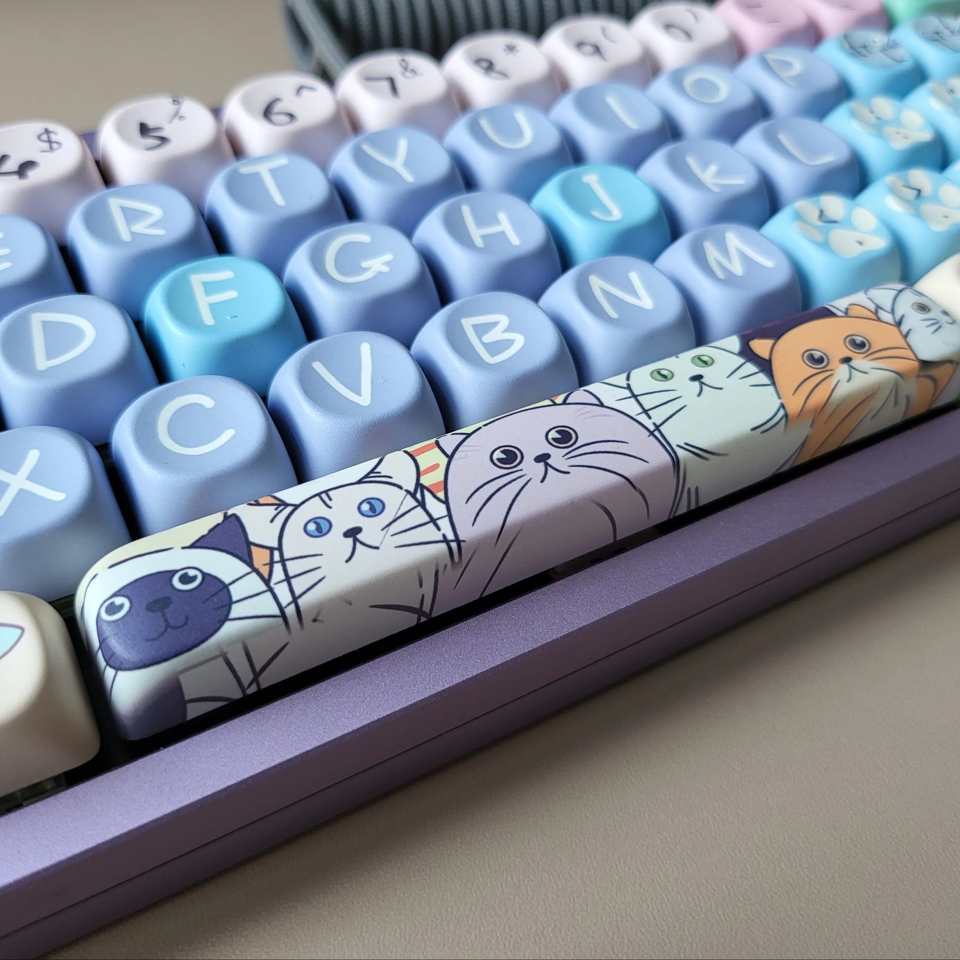 Keyboard with cat-themed keycaps on a neutral background